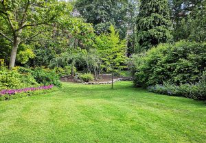 Optimiser l'expérience du jardin à Villiers-sur-Yonne